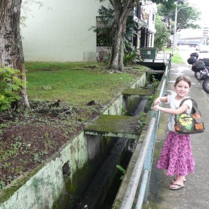 Streets of Geylang