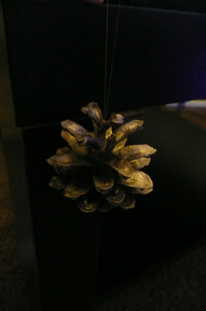 We collected pine cones before the snows. They make wonderful decorations.