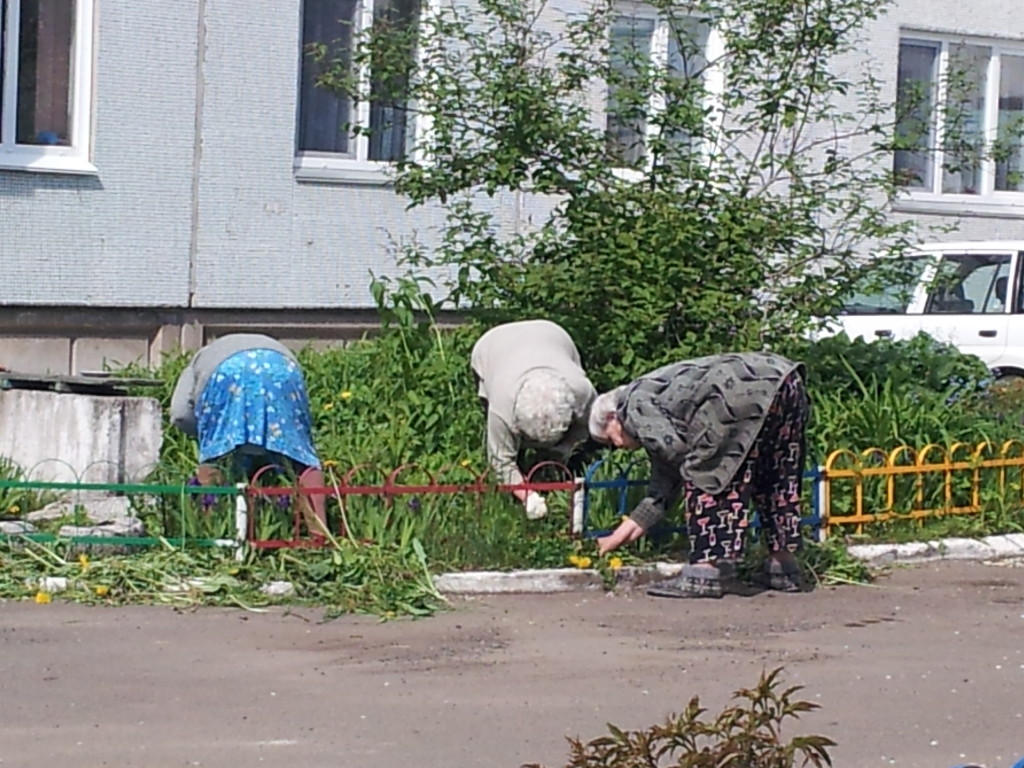 Babushkas working on the little bit of garden out the front of our building.