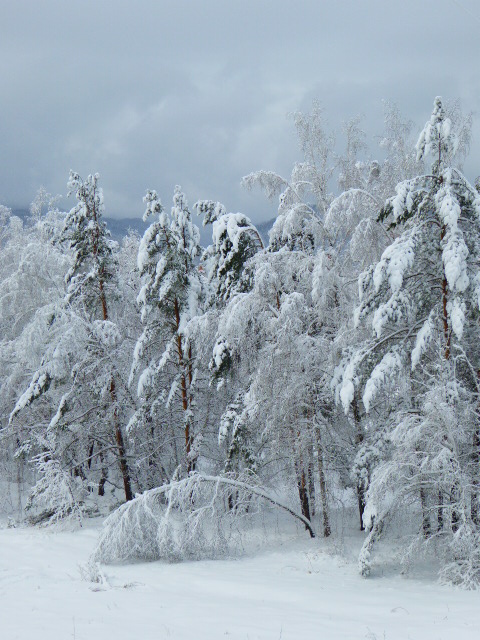 Life in Russia